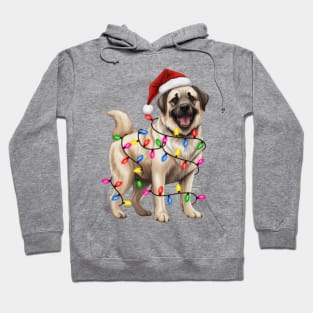 Christmas Anatolian Shepherd Hoodie